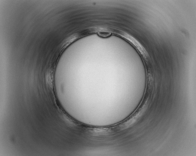 X0000116860857201001051423