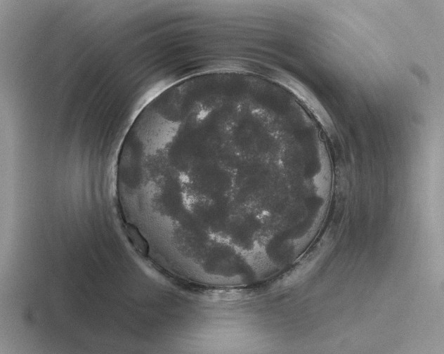 X0000116860858201001051423