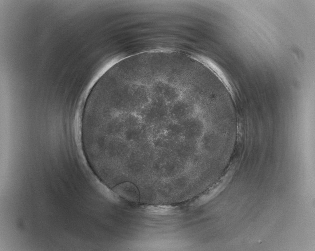 X0000116860859201001051423