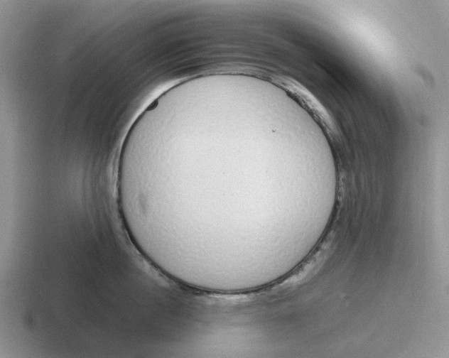 X0000116860860201001051423