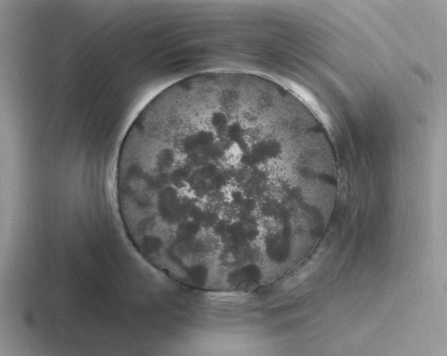 X0000116860863201001051423