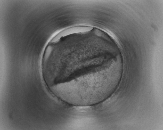 X0000116860864201001051423