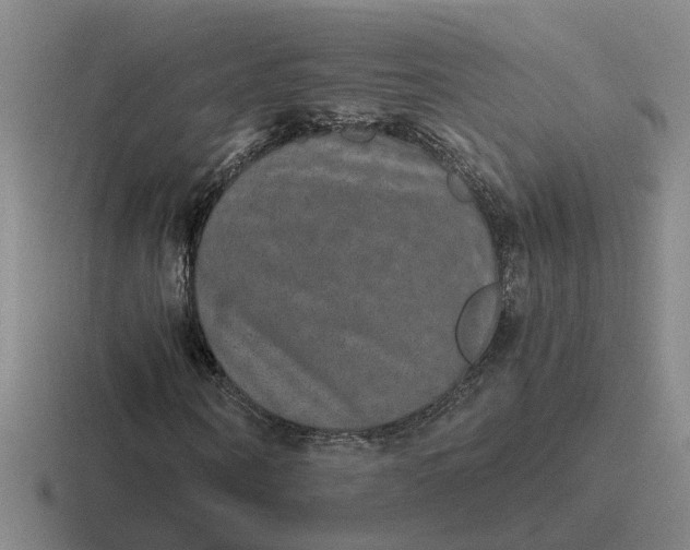 X0000116860866201001051423