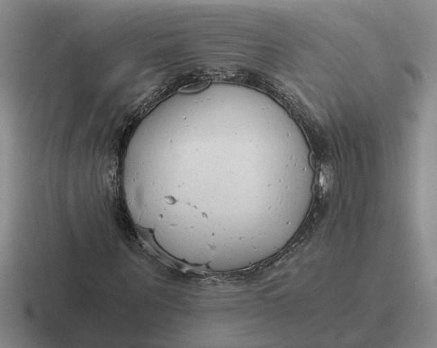 X0000116860867201001051423