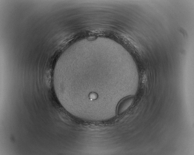 X0000116860868201001051423