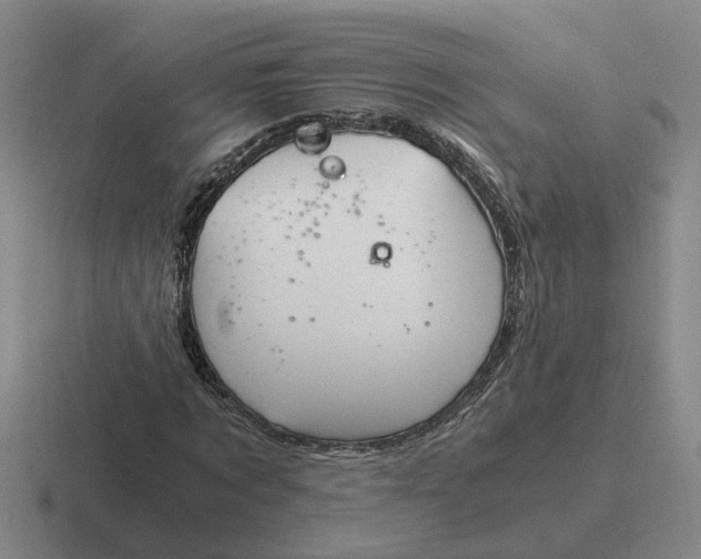 X0000116860869201001051423