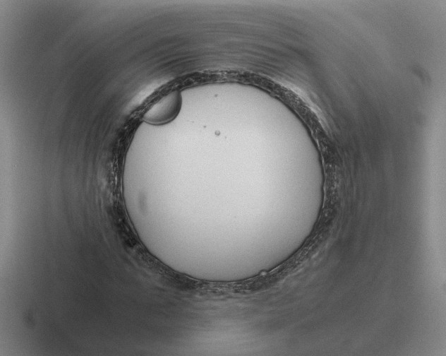 X0000116860871201001051423