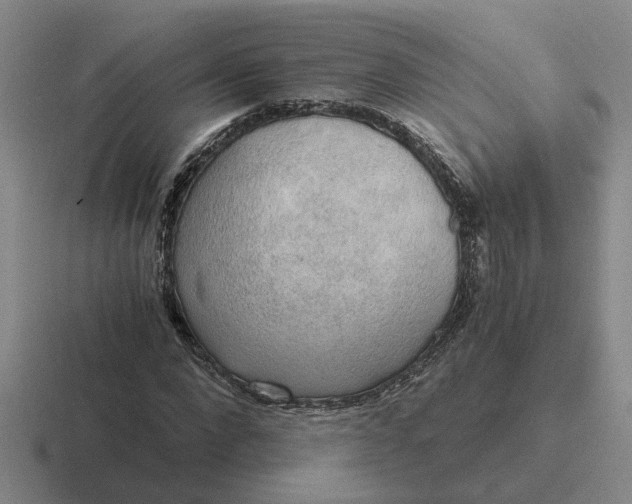 X0000116860872201001051423