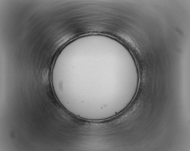 X0000116860873201001051423