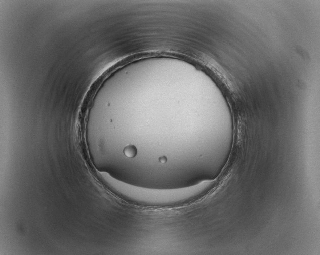 X0000116860876201001051423