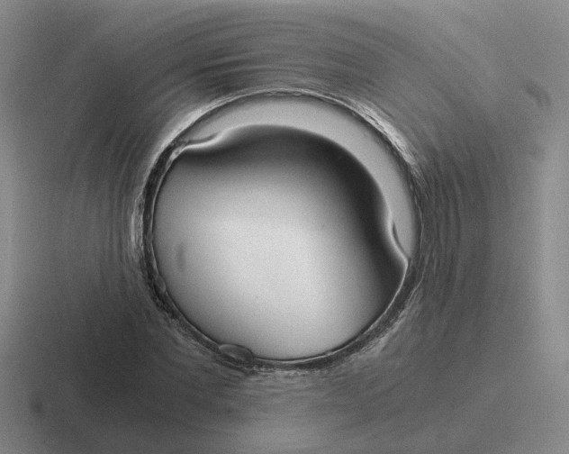 X0000116860877201001051423