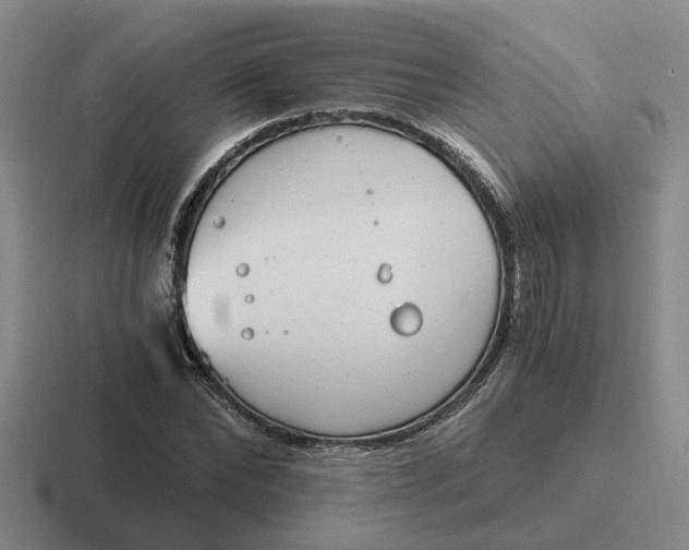 X0000116860878201001051423