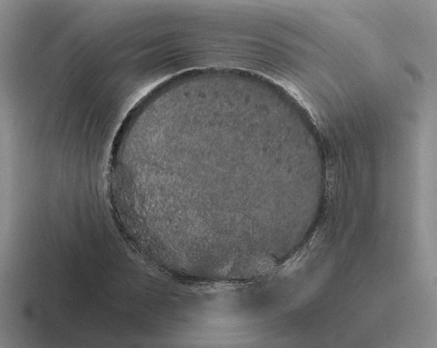 X0000116860879201001051423