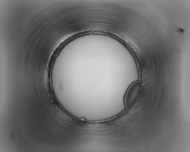 X0000116860880201001051423