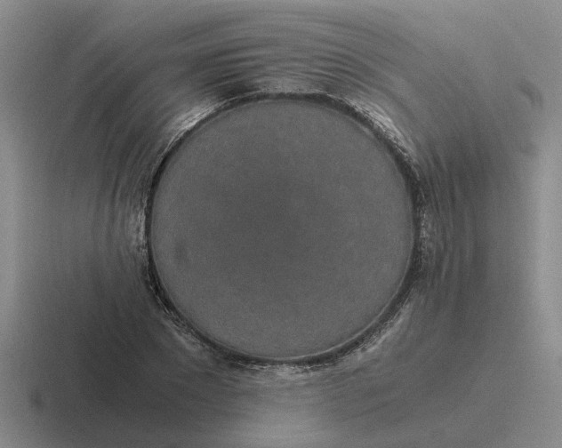 X0000116860881201001051423