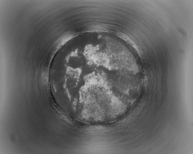 X0000116860882201001051423