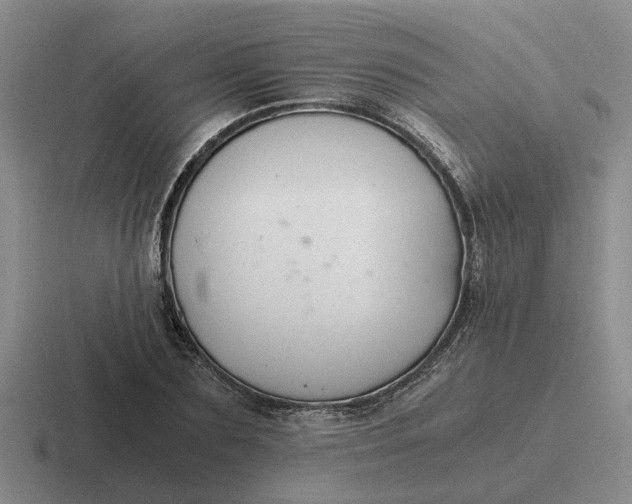 X0000116860883201001051423