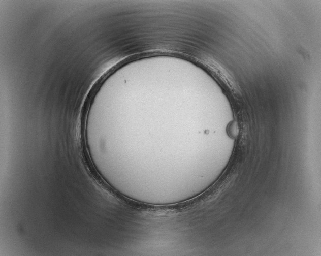 X0000116860884201001051423