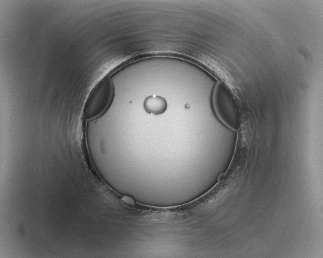 X0000116860885201001051423