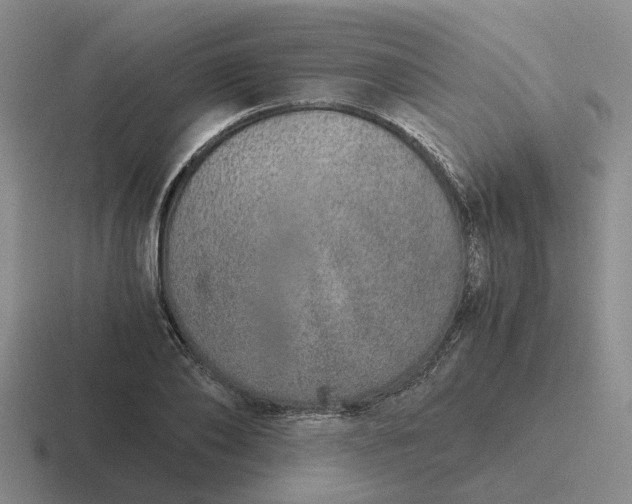 X0000116860886201001051423