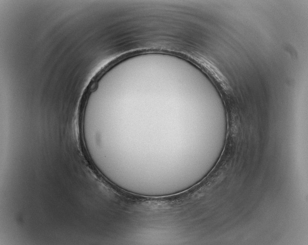 X0000116860888201001051422