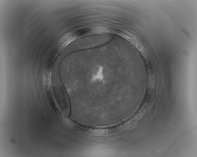 X0000116860889201001051422