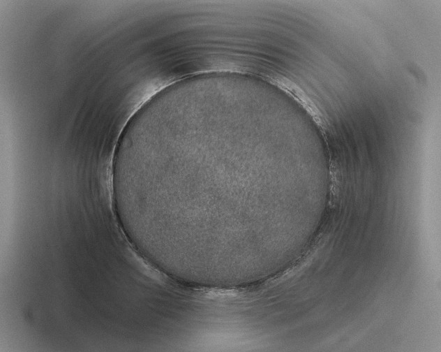 X0000116860890201001051422