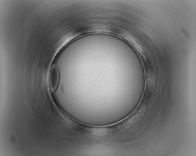 X0000116860893201001051422