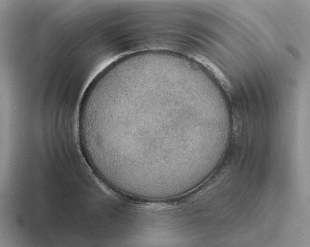 X0000116860894201001051422