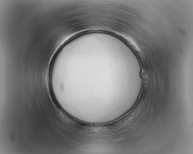 X0000116860895201001051422