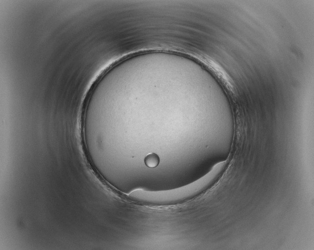 X0000116860896201001051422