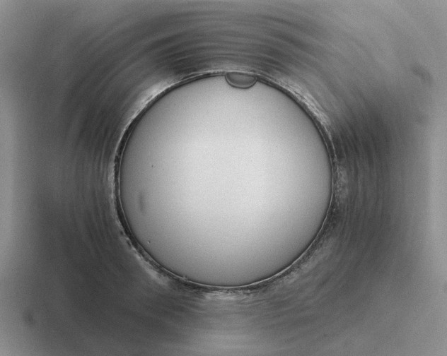 X0000116860898201001051422