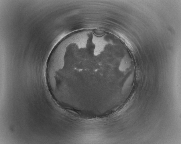 X0000116860899201001051422