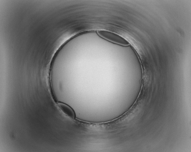 X0000116860901201001051422