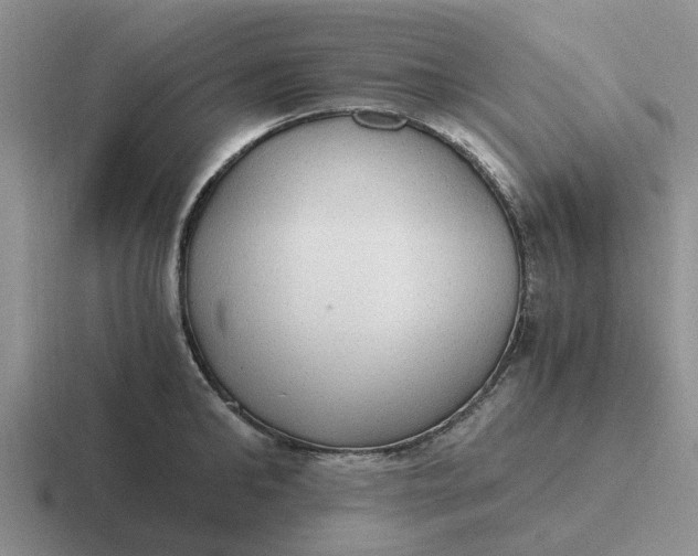 X0000116860902201001051422