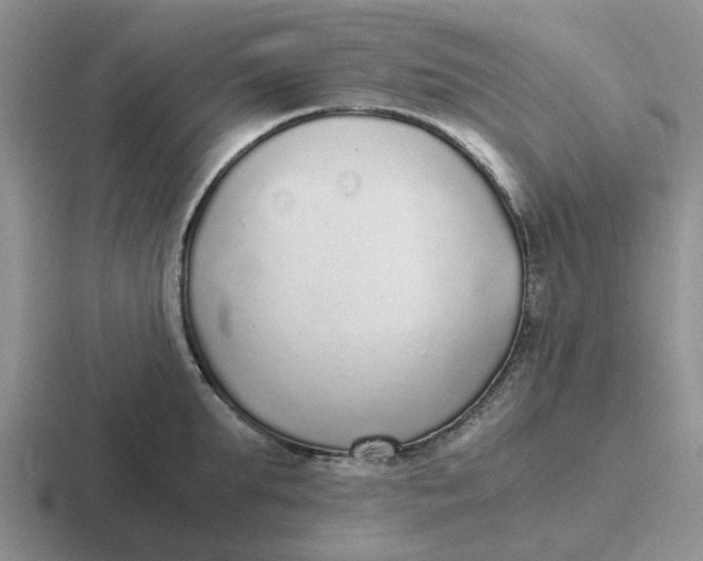 X0000116860903201001051422