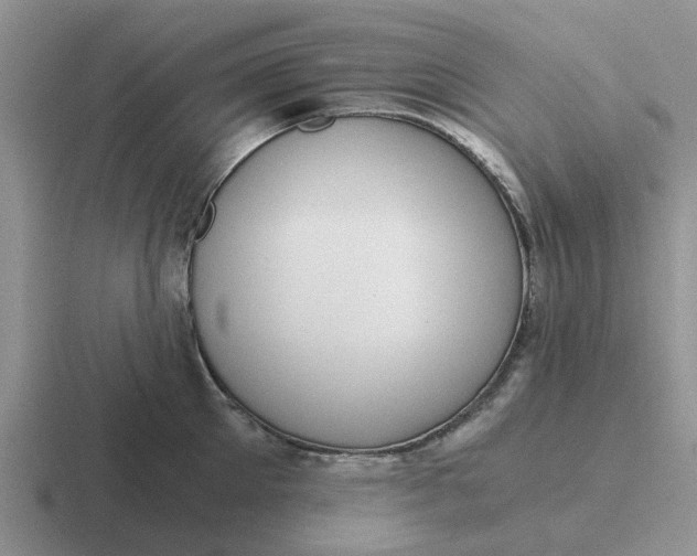 X0000116860905201001051422