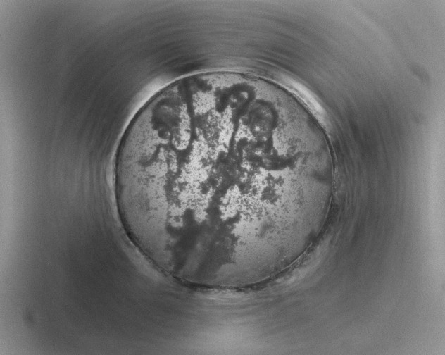 X0000116860907201001051422