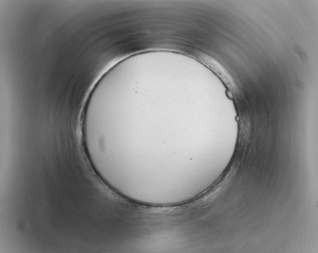 X0000116860908201001051422