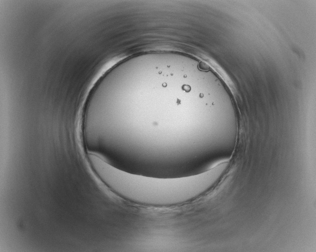 X0000116860909201001051422