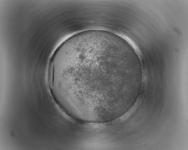 X0000116860910201001051422