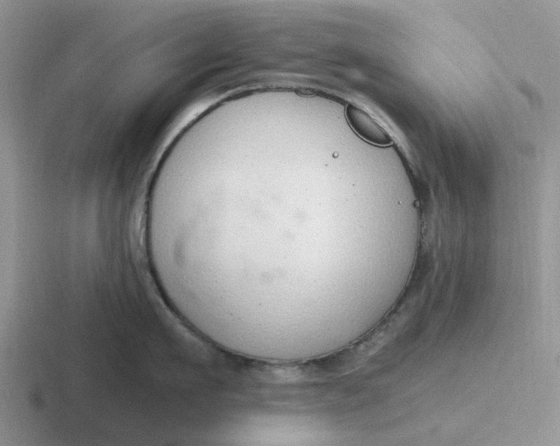 X0000116860911201001051422