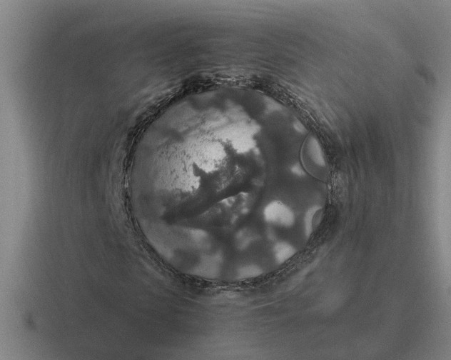 X0000116860913201001051422