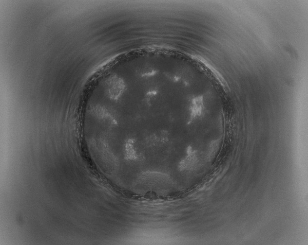 X0000116860919201001051422