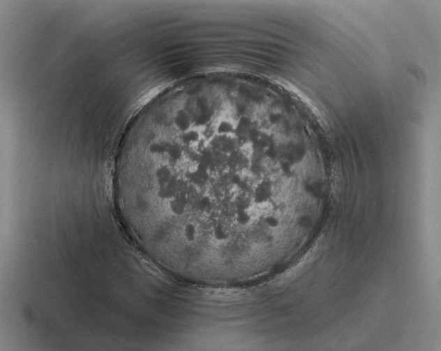 X0000116860921201001051422