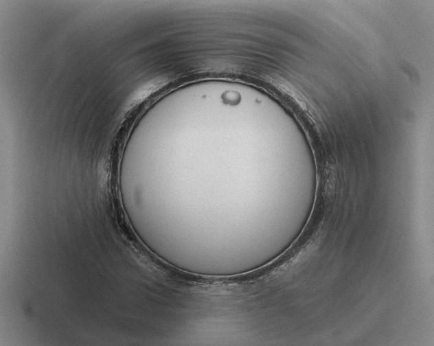 X0000116860922201001051422