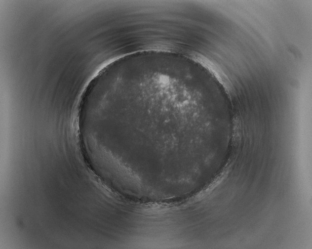 X0000116860923201001051422