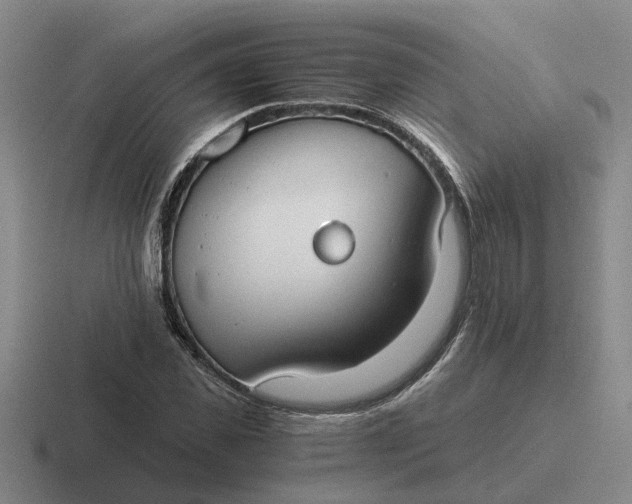 X0000116860925201001051422