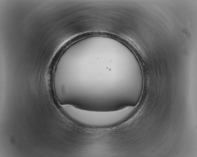 X0000116860926201001051422