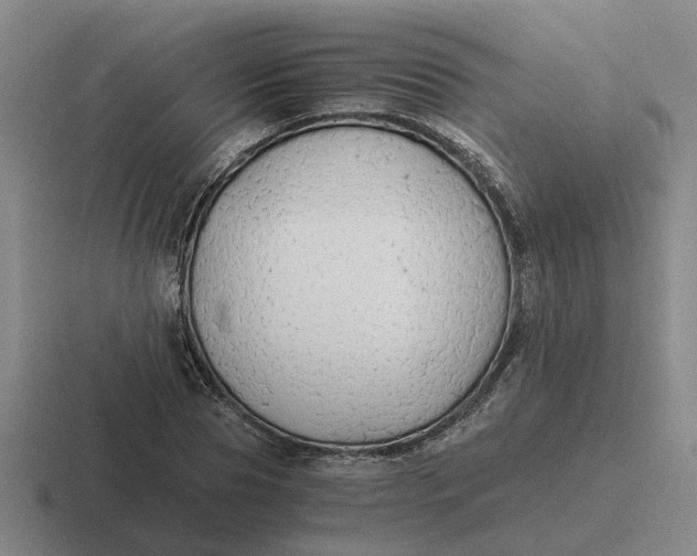 X0000116860929201001051422